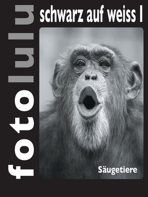 cover image of fotolulu schwarz auf weiss I